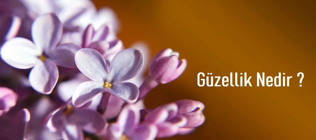 Güzellik Nedir?